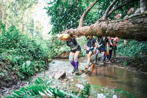 BIB: 
                            <button type="button" onclick="openModal(25514894)" class="btn btn-primary btn-sm float-right btn-popup" data-toggle="modal" data-target=".modal-high-quality">
                        <i class="fas fa-shopping-cart"></i> Add to Cart
                    </button>
                                            <button type="button" onclick="isThisMe(25514894, true)" class="btn btn-success btn-sm float-right btn-popup btn-isme hidden" data-toggle="tooltip" data-placement="bottom" title="นี่คือรูปของคุณใช่ไหม คลิกที่นี่เพื่อเอาเข้าอัลบั้ม">
                        <i class="fas fa-plus"></i> Add to album
                    </button>
                    <button type="button" onclick="isThisMe(25514894, false)" class="btn btn-warning btn-sm float-right btn-popup btn-isnotme hidden">
                        <i class="fas fa-ban"></i> Remove from album
                    </button>